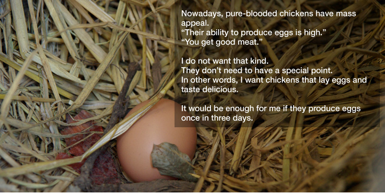 Nowadays, pure-blooded chickens have mass appeal.
"Their ability to produce eggs is high."
"You get good meat." 

I do not want that kind.
They don’t need to have a special point.
In other words, I want chickens that lay eggs and taste delicious. 

It would be enough for me if they produce eggs once in three days.
They do not have to produce eggs 365 days a year.