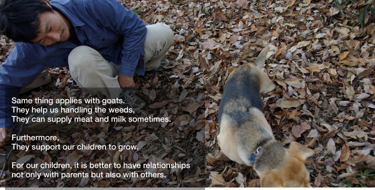 Same thing applies with goats.
They help us handling the weeds, 
They can supply meat and milk sometimes. 

Furthermore,
They support our children to grow. 

For our children, it is better to have relationships 
not only with parents but also with others.