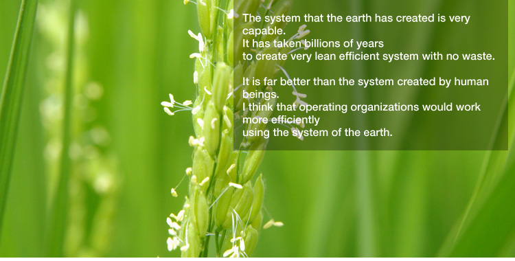 The system that the earth has created is very capable.
It has taken billions of years to create very lean efficient system with no waste. 

It is far better than the system created by human beings.  

I think that operating organizations would work more efficiently using the system of the earth.