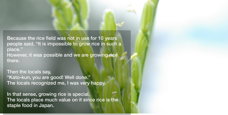 Because the rice field was not in use for 10 years 
people said, "It is impossible to grow rice in such a place." 
However, it was possible and we are growing rice there. 

Then the locals say, "Kato-kun, you are good! Well done."
The locals recognized me, I was very happy. 

In that sense, growing rice is special.
The locals place much value on it since rice is the staple food in Japan.