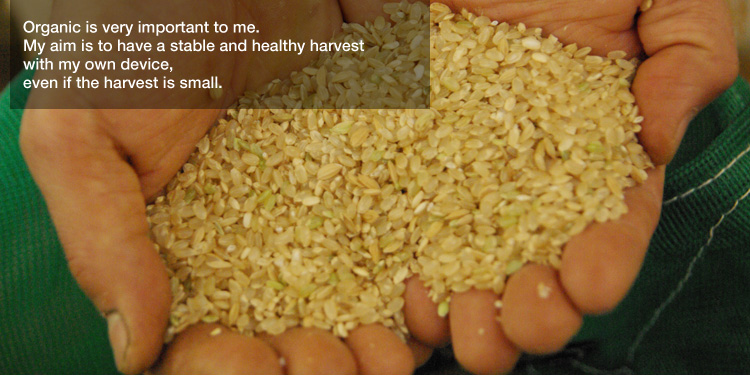 Organic is very important to me.
My aim is to have a stable and healthy harvest with my own device, 
even if the harvest is small.