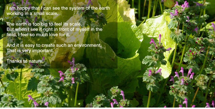 I am happy that I can see the system of the earth working in a small scale. 

The earth is too big to feel its scale.
But when I see it right in front of myself in the field,
I feel so much love for it. 

And it is easy to create such an environment.
That is very important. 

Thanks to nature. 