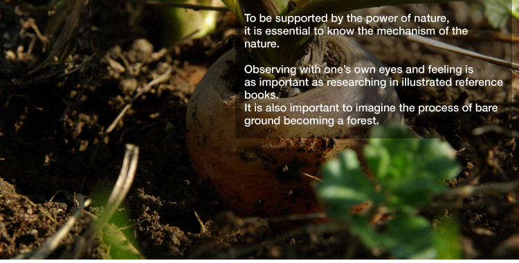 To be supported by the power of nature, 
it is essential to know the mechanism of the nature. 

Observing with one’s own eyes and feeling is as important as researching in illustrated reference books. 
It is also important to imagine the process of bare ground becoming a forest.