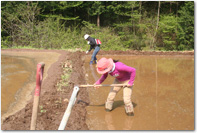 5���̉��_��