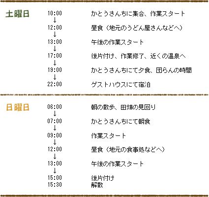 ���_���̗���