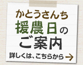 ���_���̂��ē�