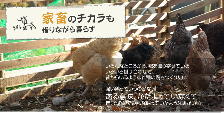 �ƒ{�̃`�J�����؂�Ȃ����炷�F�����ȂƂ��납��A�{�����񂹂Ă��� ���낢��|�����킹�āA�̂��炢��悤�ȎG��̌{�����肽�� �����{���Ă����̂��ȁA����Ӗ��A��������Ă��Ȃ��� �́A���̕ӂł݂�Ȏ����Ă����悤�Ȍ{������