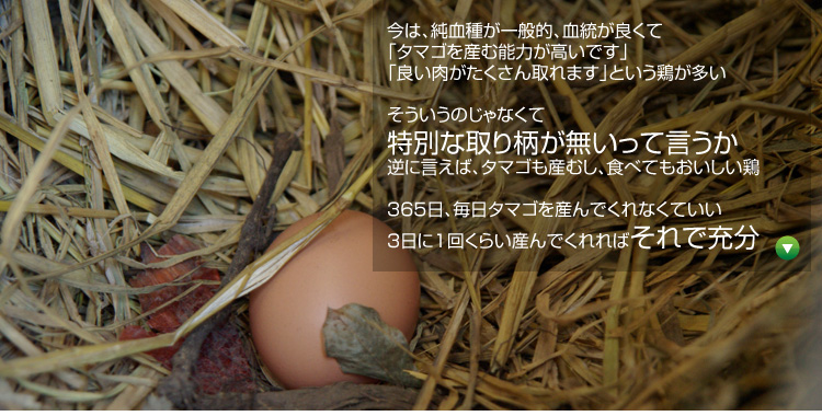 ���́A�����킪��ʓI�A�������ǂ��āu�^�}�S���Y�ޔ\�͂������ł��v�u�ǂ���������������܂��v�Ƃ����{������ ���������̂���Ȃ��ē��ʂȎ�蕿���������Č������t�Ɍ����΁A�^�}�S���Y�ނ��A�H�ׂĂ����������{ 365���A�����^�}�S���Y��ł���Ȃ��Ă��� 3����1�񂭂炢�Y��ł����΂���ŏ[��