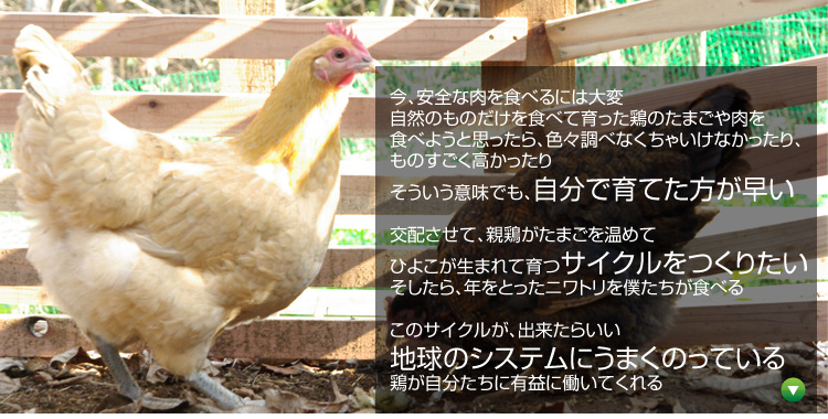 ���A���S�ȓ���H�ׂ�ɂ͑�� ���R�̂��̂�����H�ׂĈ�����{�̂��܂������H�ׂ悤�Ǝv������A�F�X���ׂȂ����Ⴂ���Ȃ�������Ƃ��A���̂���������������Ƃ� ���������Ӗ��ł��A�����ň�Ă��������� ��z�����āA�e�{�����܂������߂ĂЂ悱�����܂�Ĉ�T�C�N�������肽�� ��������A�N���Ƃ����j���g����l�������H�ׂ� ���̃T�C�N�����A�o�����炢�� �n���̃V�X�e���ɂ��܂��̂��Ă��� �{�����������ɗL�v�ɓ����Ă����