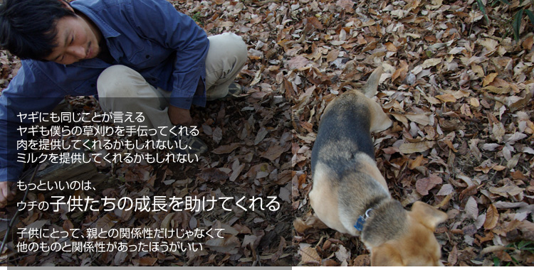 ���M�ɂ��������Ƃ������� ���M���l��̑��������`���Ă���� ����񋟂��Ă���邩������Ȃ����A�~���N��񋟂��Ă���邩������Ȃ� �����Ƃ����̂́A�E�`�̎q�������̐����������Ă���� �q���ɂƂ��āA�e�Ƃ̊֌W����������Ȃ���
���̂��̂Ɗ֌W�����������ق�������