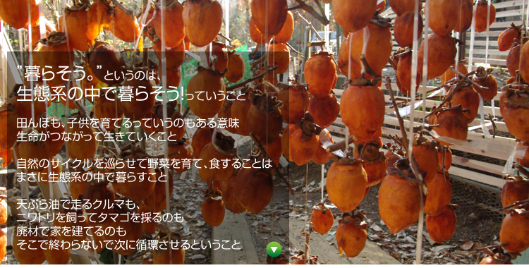 �h��炻���B�h�Ƃ����̂́A���Ԍn�̒��ŕ�炻���I���Ă������� �c��ڂ��A�q������Ă���Ă����̂�����Ӗ�
�������Ȃ����Đ����Ă������� ���R�̃T�C�N�������点�Ė�؂���āA�H���邱�Ƃ͂܂��ɐ��Ԍn�̒��ŕ�炷���� �V�Ղ���ő���N���}���A�j���g���������ă^�}�S���̂�̂��p�ނŉƂ����Ă�̂������ŏI���Ȃ��Ŏ��ɏz������Ƃ�������