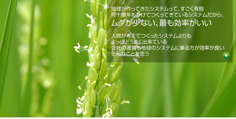 �n��������Ă����V�X�e�����āA�������L�\ ���\���N�������Ă����Ă��Ă���V�X�e��������A���_�����Ȃ��A�ł����������� �l�Ԃ��l���Ă������V�X�e������
����ۂǂ��܂��o���Ă��� ��Ђ̉^�c���n���̃V�X�e���ɏ������������ǂ� ����Ȃ��Ƃ��v��