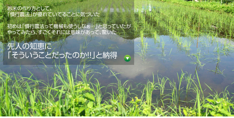 ���Ă̍����Ƃ��āA�u���s�_�@�v���D��Ă��Ă邱�ƂɋC�Â��� ���߂́u���s�_�@���ċ@�B���g�����Ȃ��c�v�Ǝv���Ă���������Ă݂���A����������ɂ͈Ӗ��������āA������ ��l�̒m�b�Ɂu�����������Ƃ������̂��I�I�v�Ɣ[��