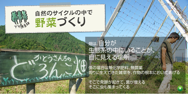 ���R�̃T�C�N���̒��Ŗ�؂Â���F���́A���������Ԍn�̒��ɂ��邱�Ƃ��A�ڂɌ�����ꏊ �l�̏ꍇ�͖����w�엿�A���_�� ����ɐ����Ă����G�����A�앨�̍��{�ɂ����Ă����� �����Ŕ��y���N���āA�ۂ������� �����ɒ����W�܂��Ă���