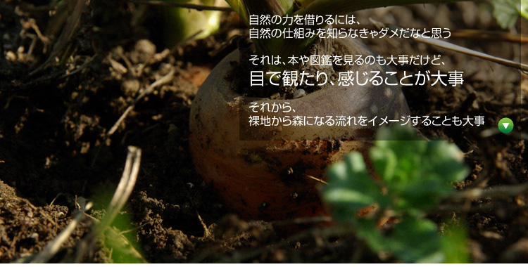 ���R�̗͂��؂��ɂ́A���R�̎d�g�݂�m��Ȃ���_�����ȂƎv�� ����́A�{��}�ӂ�����̂��厖�����ǁA�ڂŊς���A�����邱�Ƃ��厖 ���ꂩ��A���n����X�ɂȂ闬����C���[�W���邱�Ƃ��厖